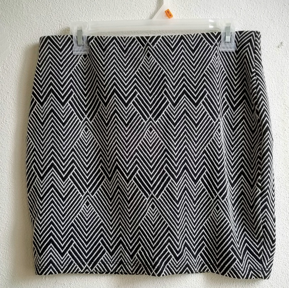 Zara/Trafaluc Fall Winter Collection B&W Skirt